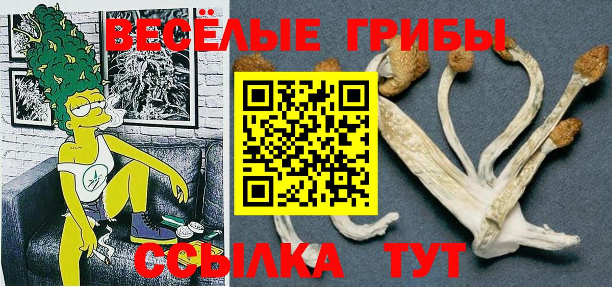 наркота  Псилоцибиновые грибы Psilocybe  Гатчина  Вход с VPN  Псилоцибиновые грибы Magic Shrooms 